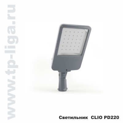 Архитектурное освещение, консольный светильник CLIO PD220, Консольный светодиодный прожектор CLIO PD220, FALDI, Россия, Москва, ТехПромЛига, 8 499 713-40-59