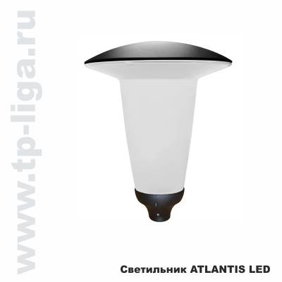Светильник торшерный ATLANTIS LED 43W, парковый светильник ATLANTIS LED 43W, торшерный светильник ATLANTIS LED 43W, Россия, Москва, ТехПромЛига, 8 499 713-40-59, www.tp-liga.ru
